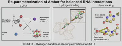 Overview of HB-CUFIX corrections for balanced RNA interactions