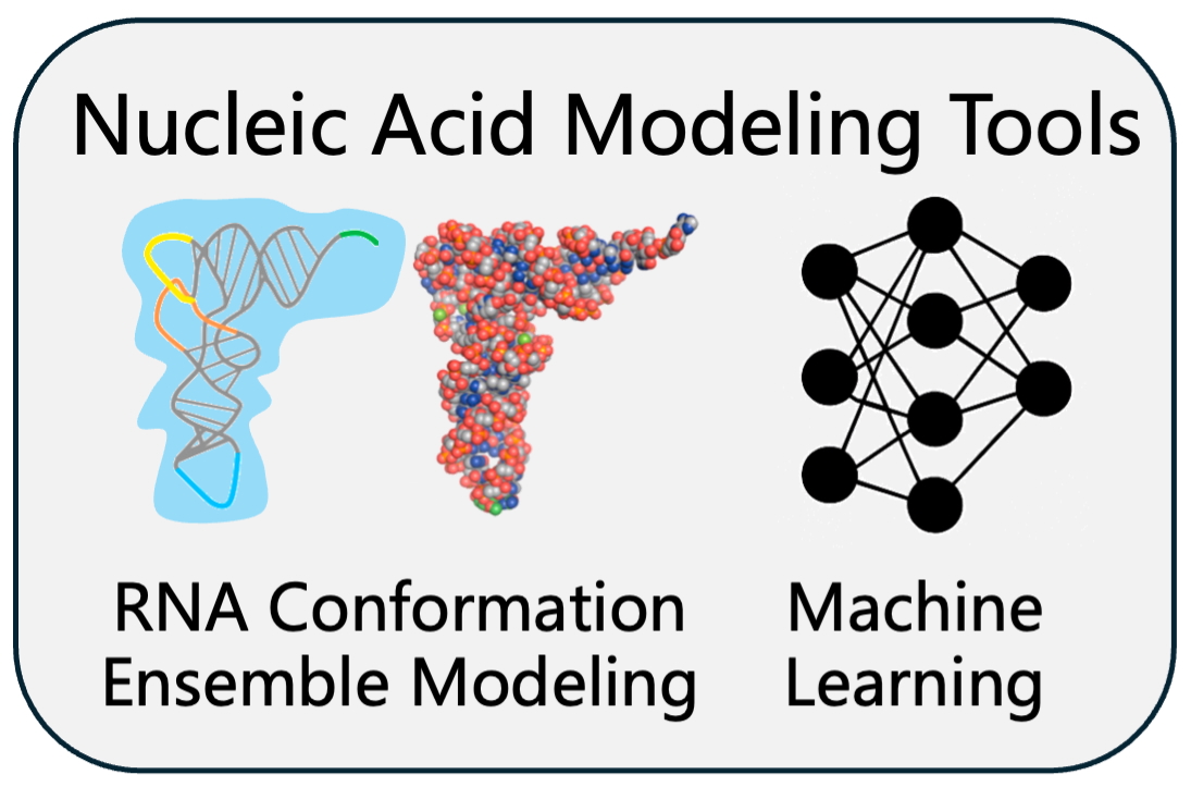 Nucleic acid modeling tools